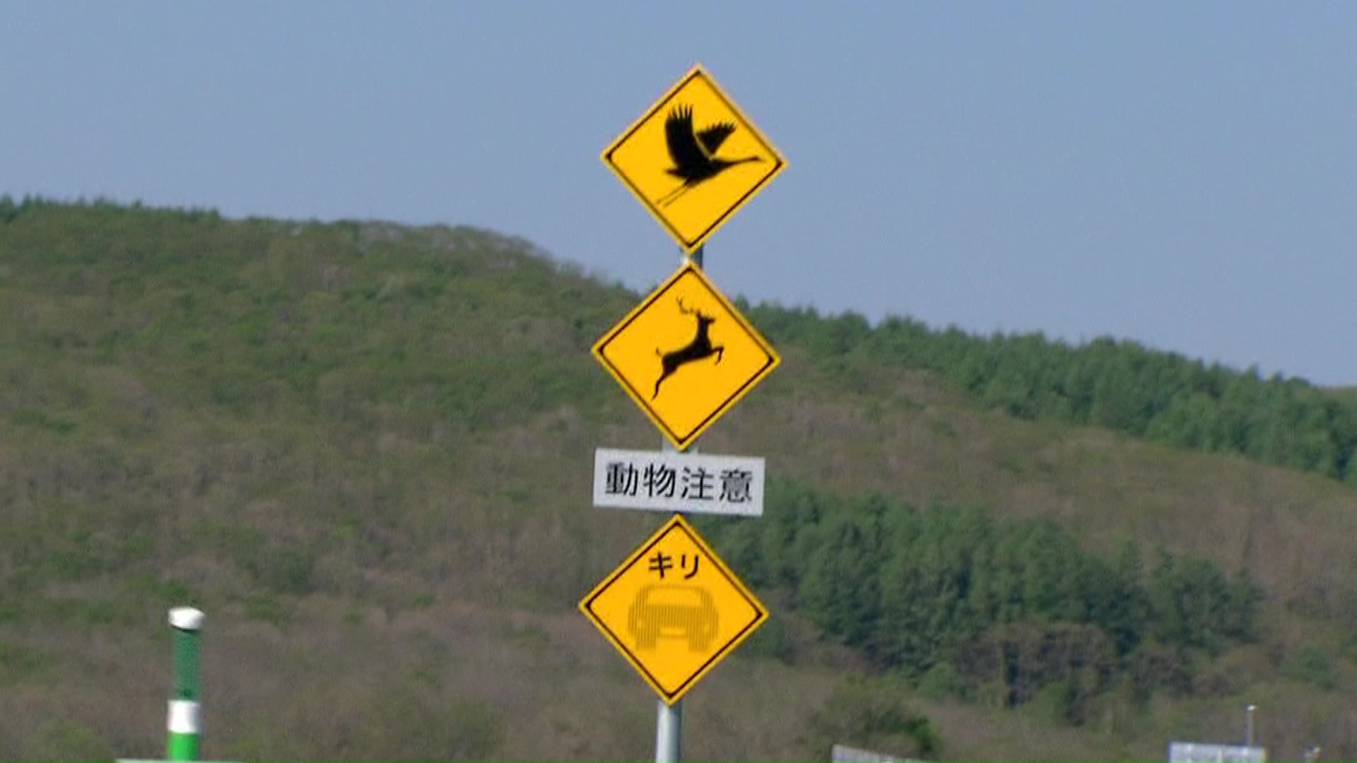 鳥・シカ・キリの道路標識