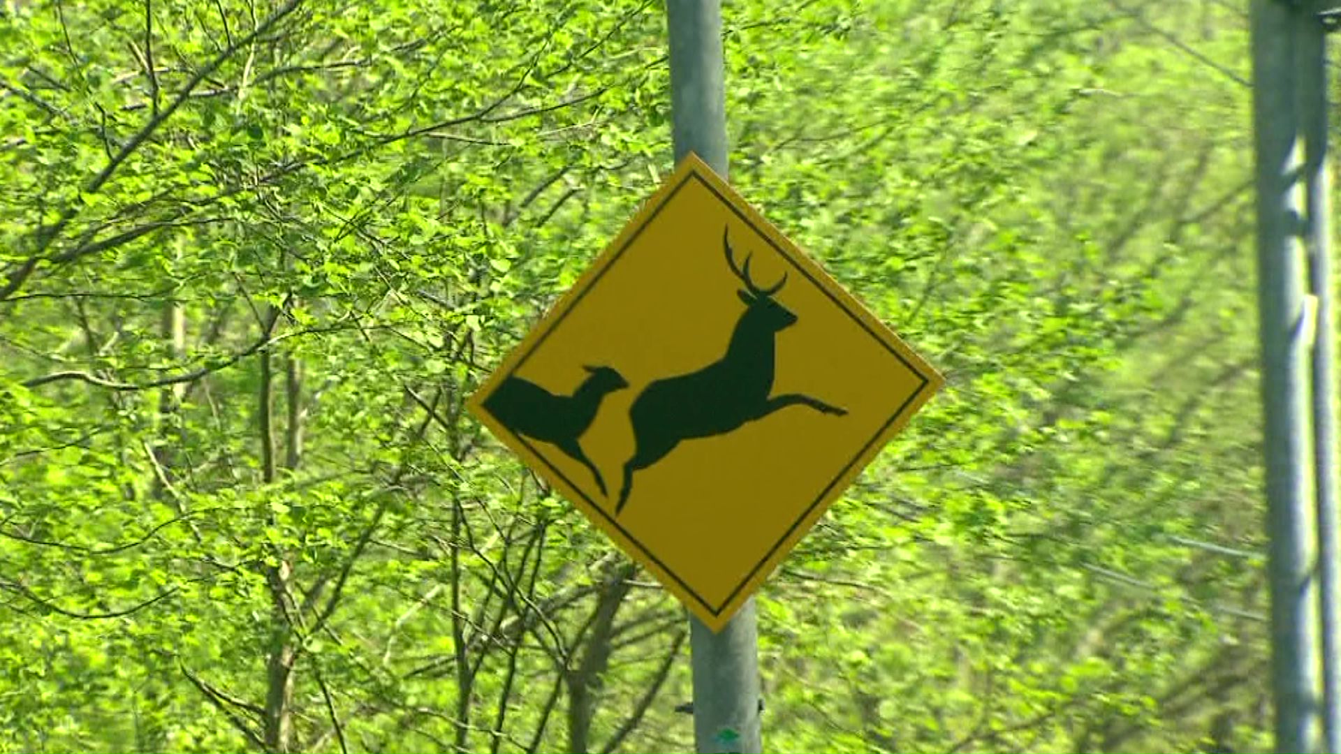 標識には「二頭のシカ」