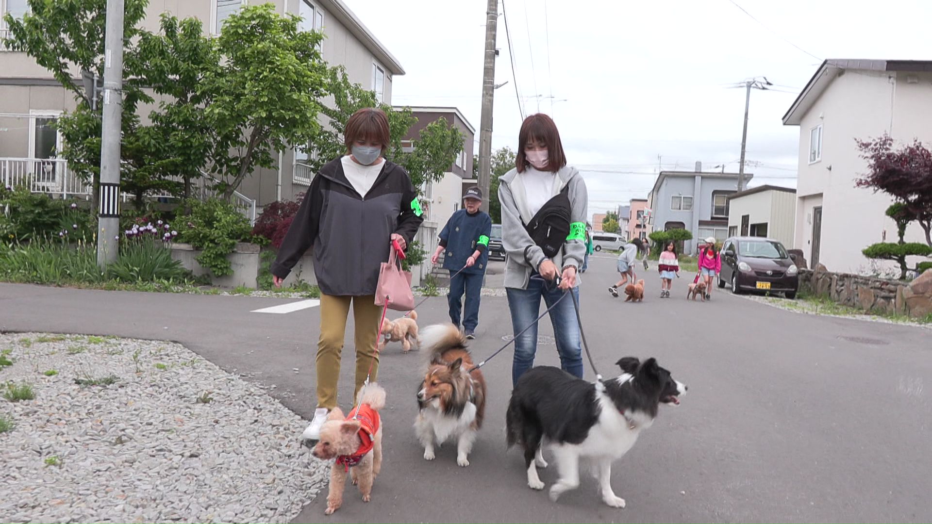 愛犬と散歩をしながら見回り
