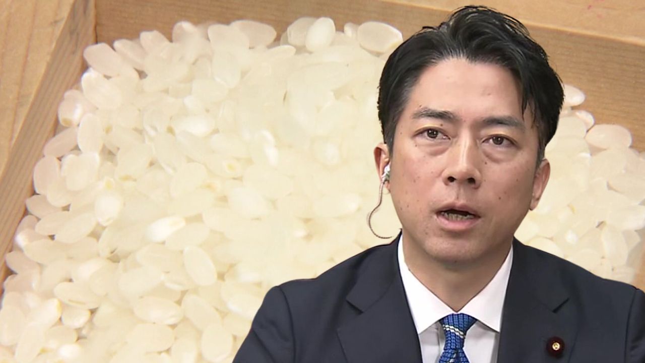 加工業者や日本酒メーカーへの備蓄米放出を検討