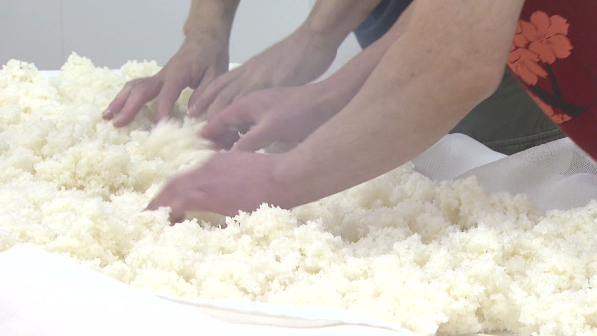 日本酒の酒蔵でもコメの高騰に苦しむ