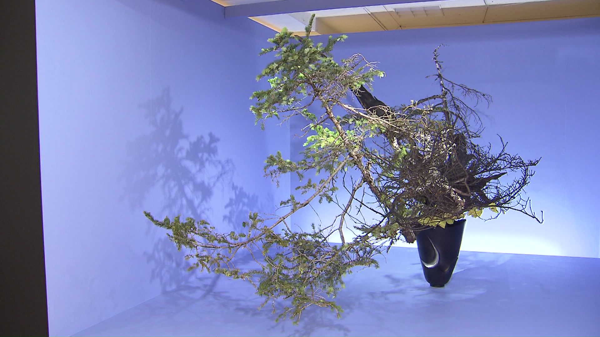 華道家元・池坊専永氏の作品