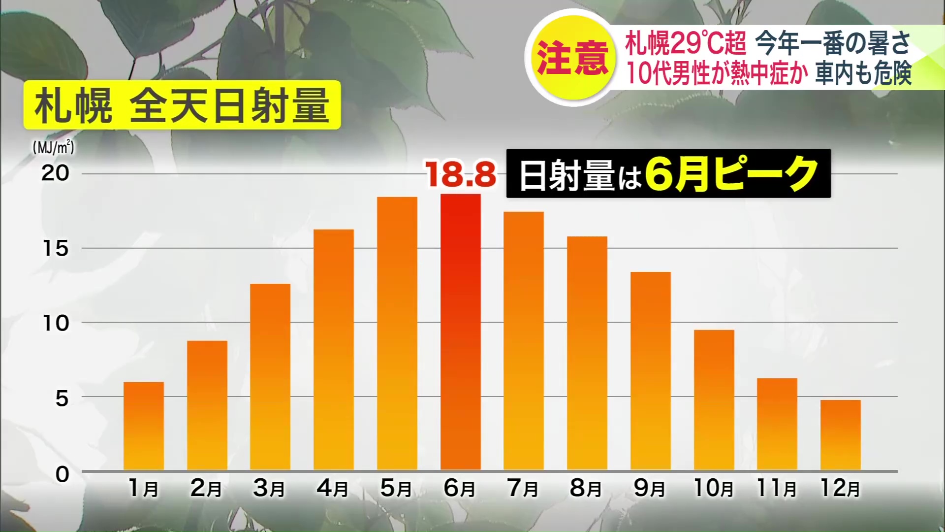 日射量は6月がピーク