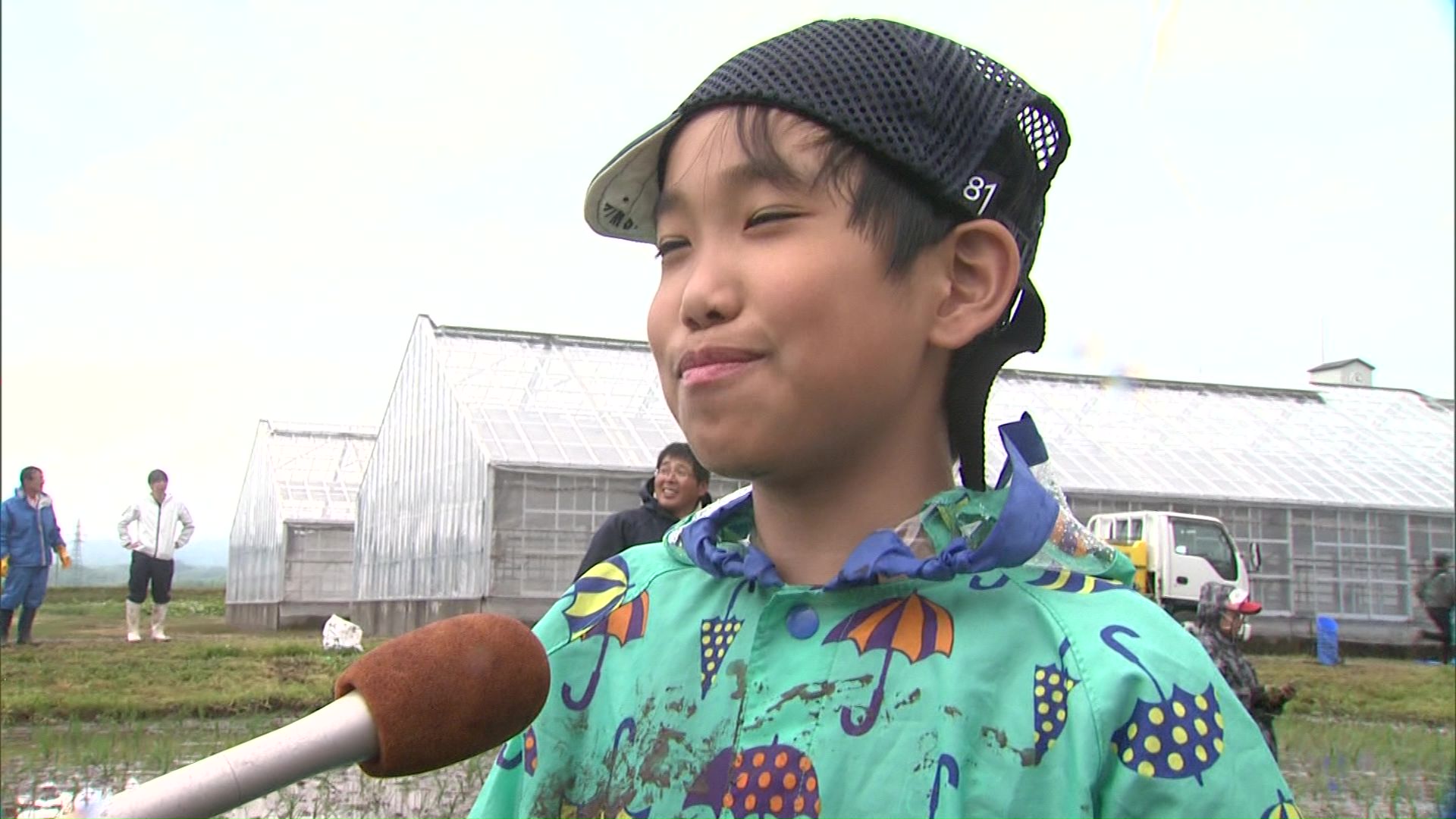 田植え体験をした小学校児童