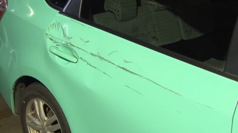 クマと衝突したとみられる箇所