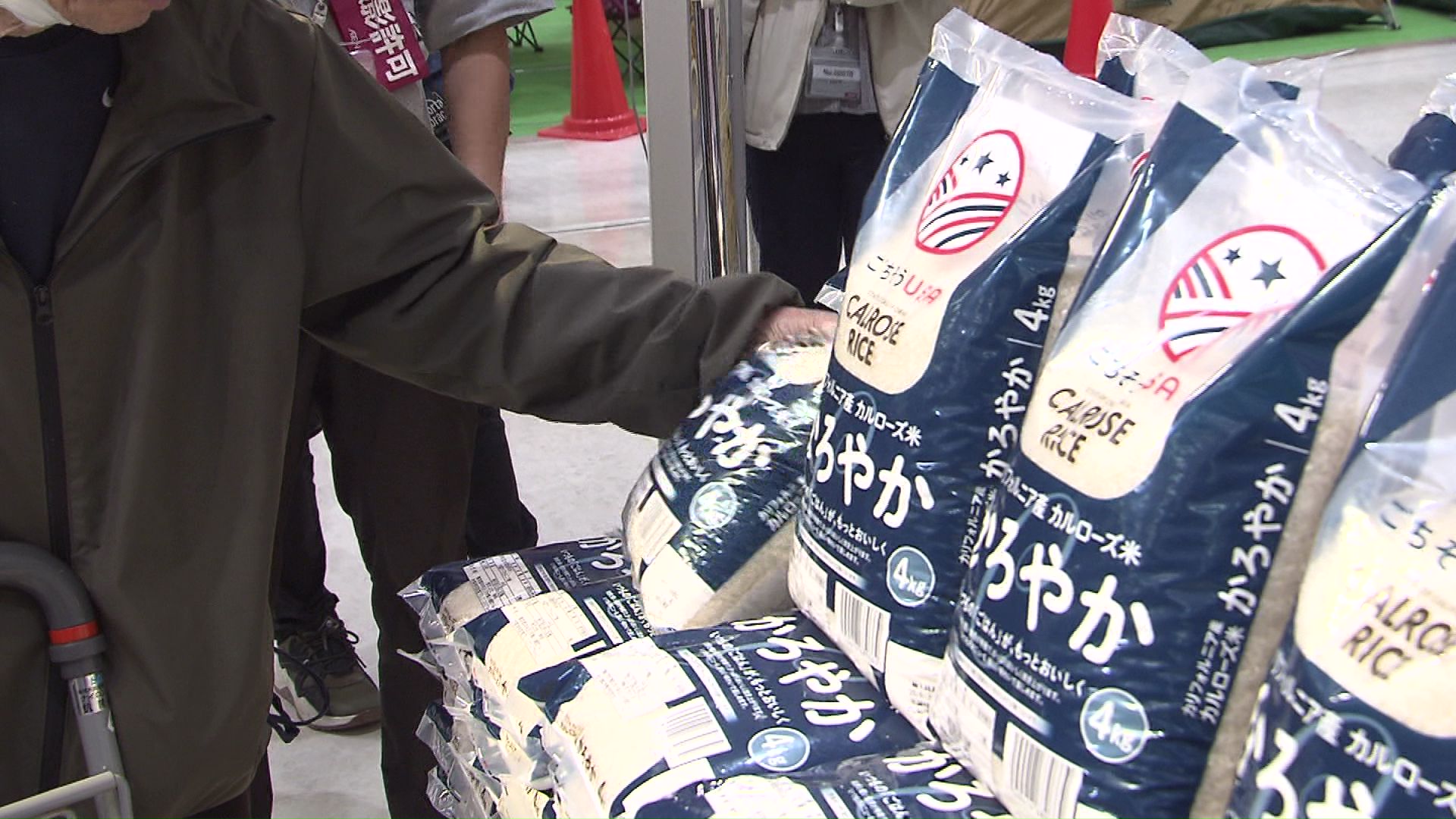 カルローズ米に注目