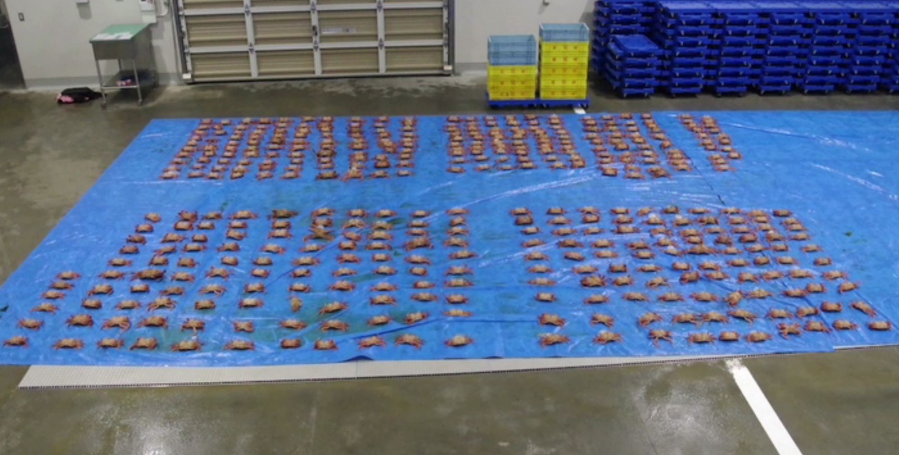 別の漁船も毛ガニを密漁(提供:函館海上保安部)