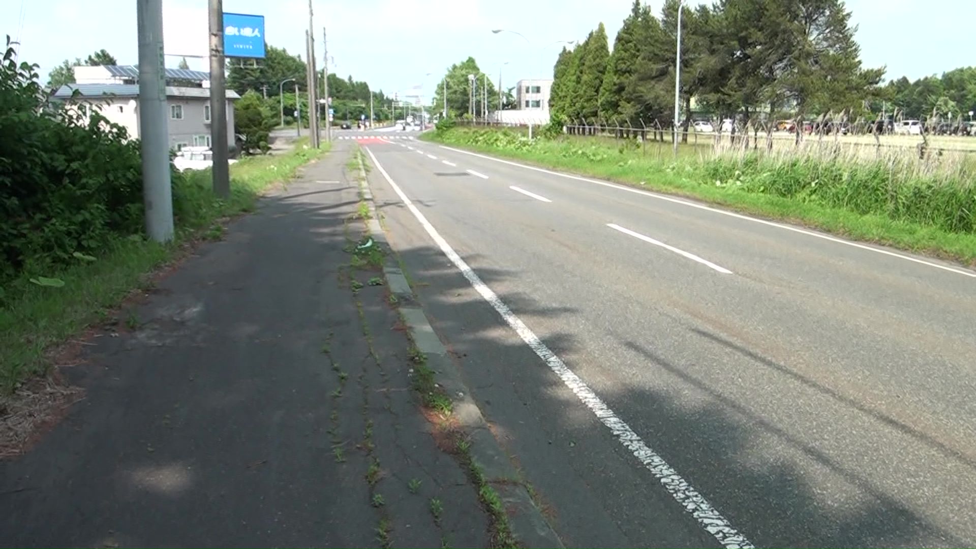 クマとタクシーが衝突した現場