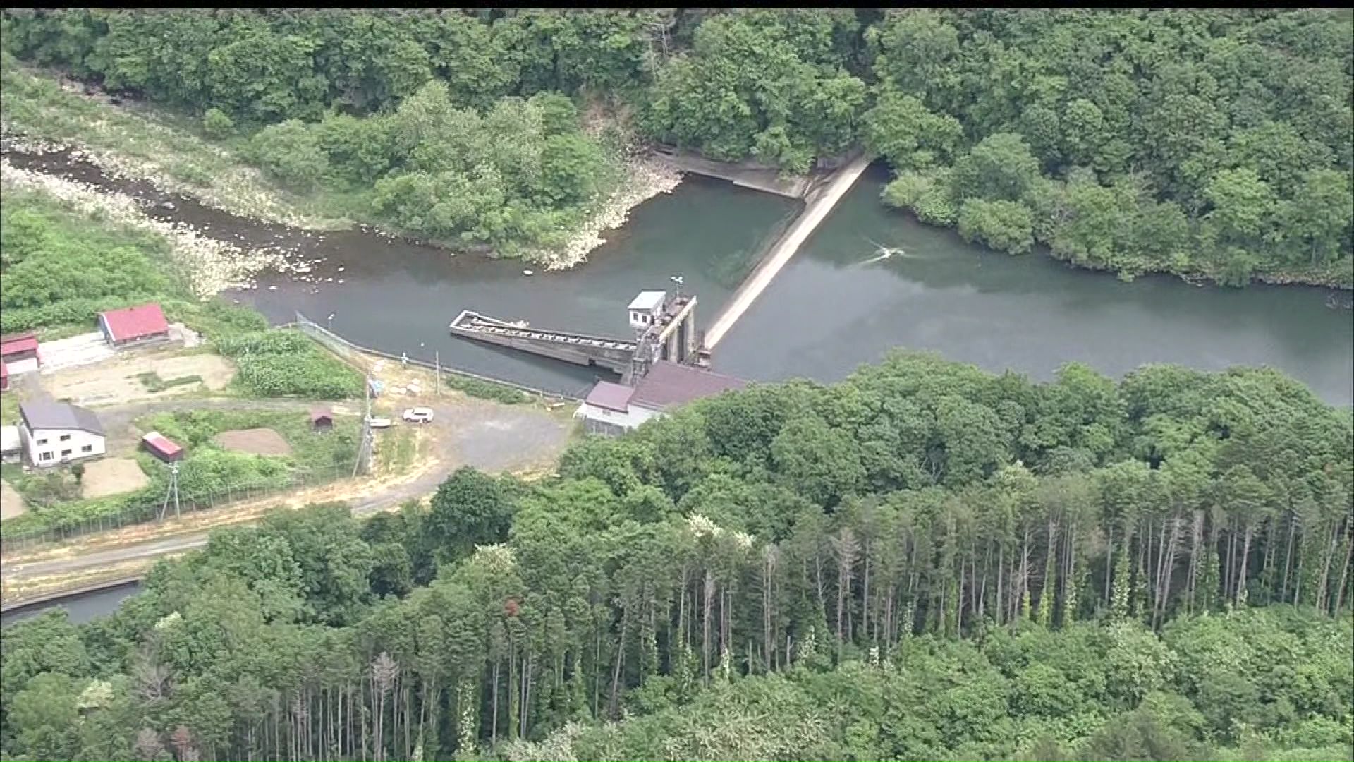 サクラマスが大量死した蘭越町の尻別川