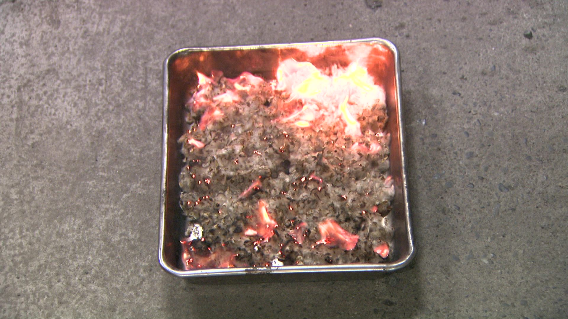 火が一瞬で綿毛全体に燃え広がる