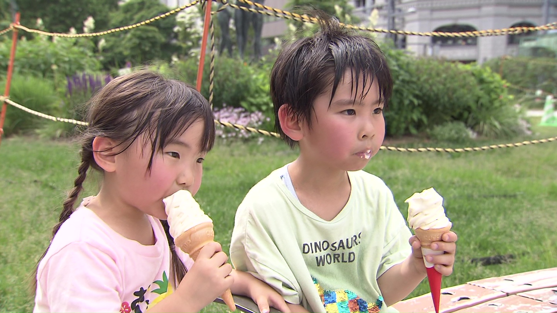 夏本番の暑さ