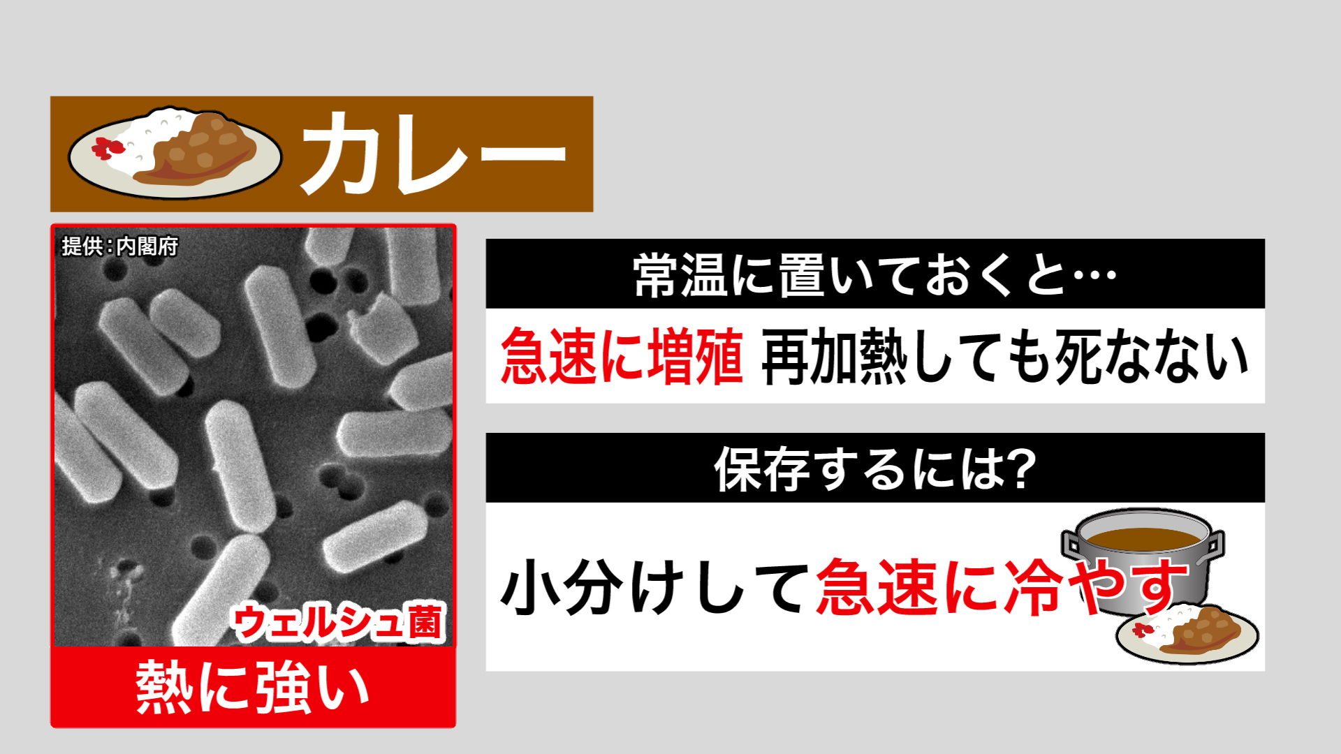 カレーに付着しやすいウェルシュ菌