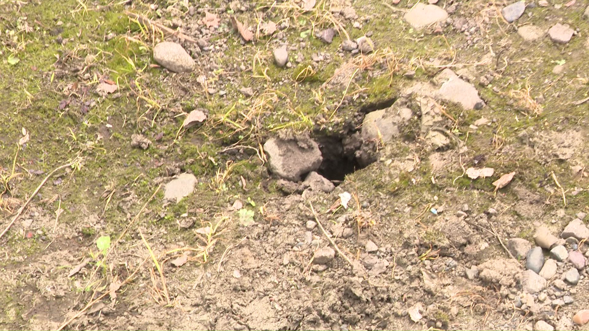 ネズミが作ったとみられる穴