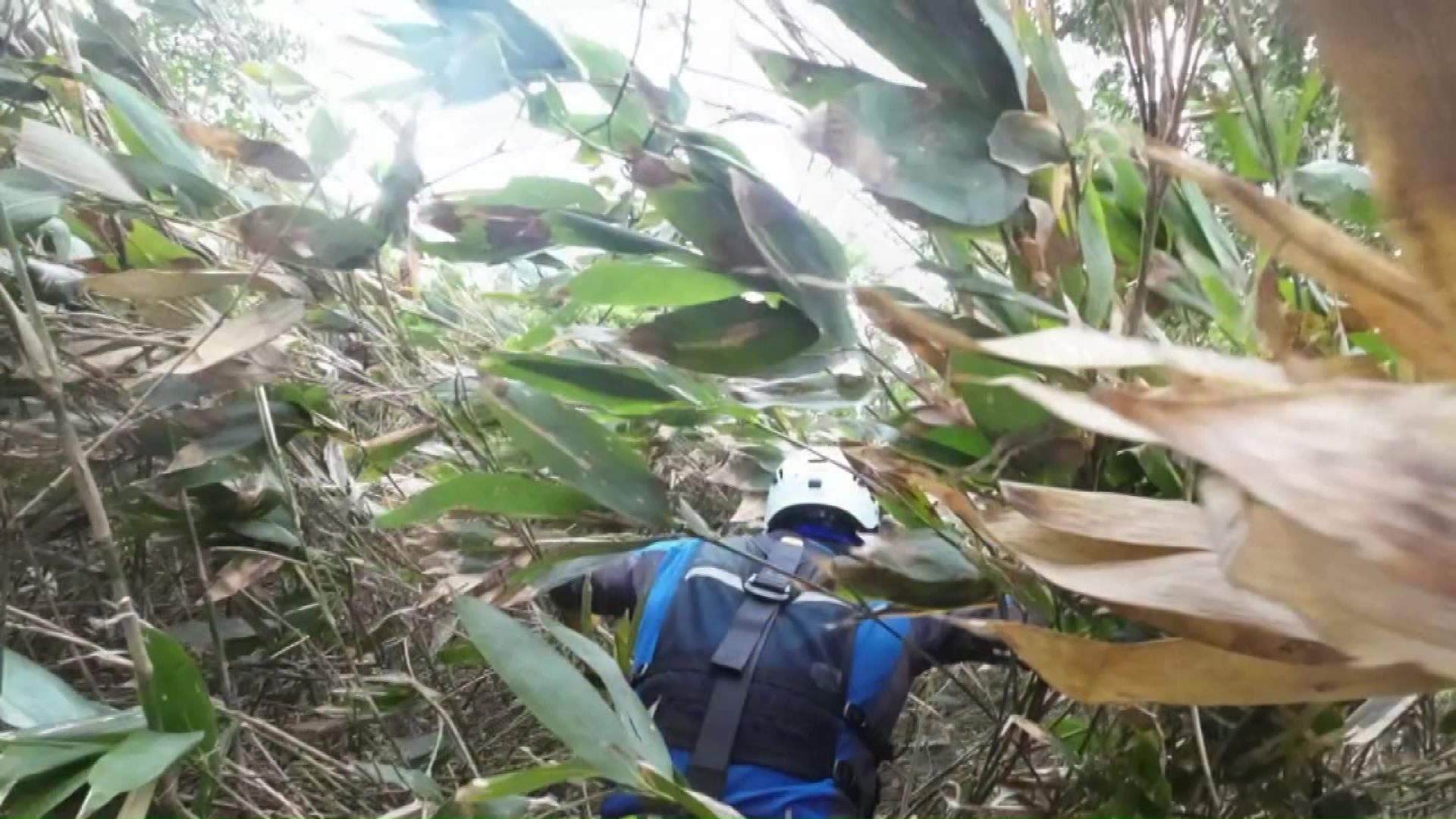 やぶをかき分け、遭難者のもとへ