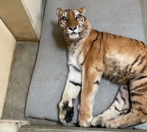 提供：釧路市動物園