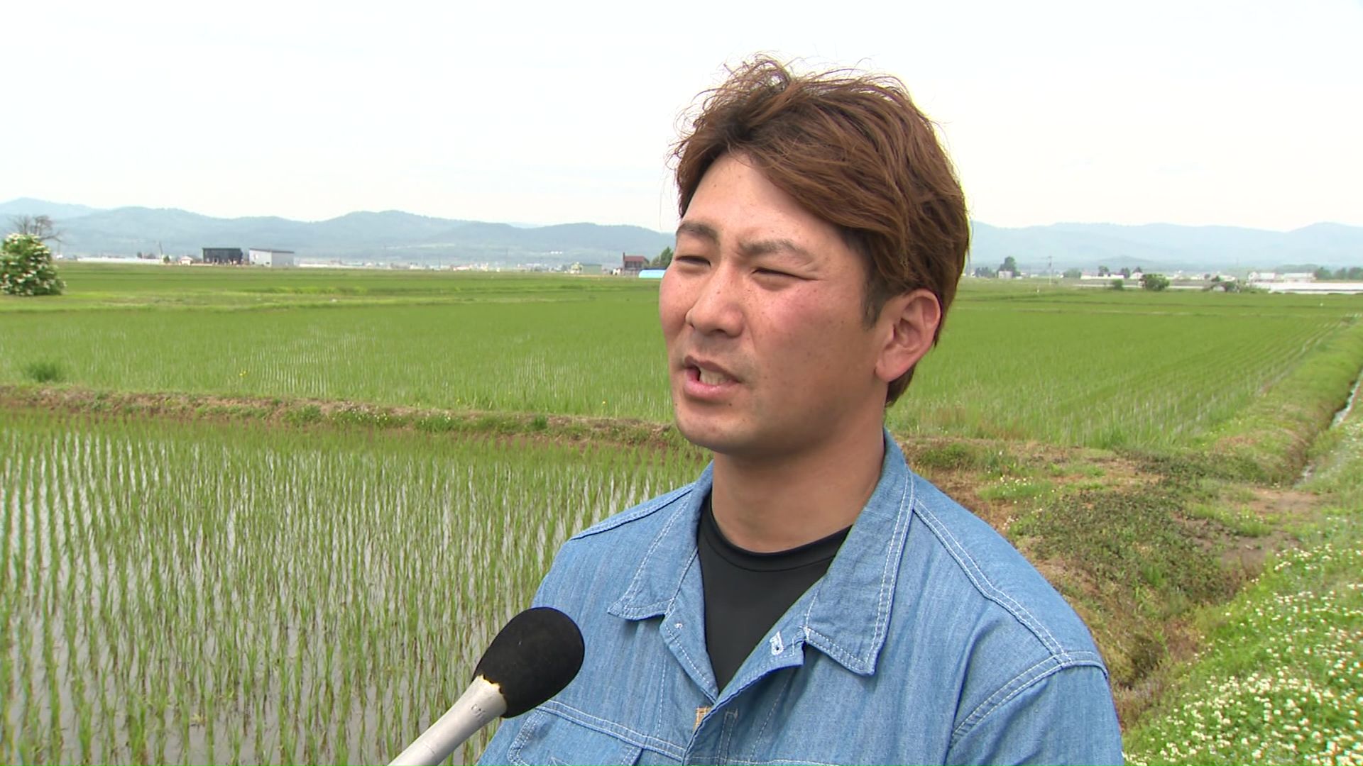 経費値上げに苦しむ生産者は