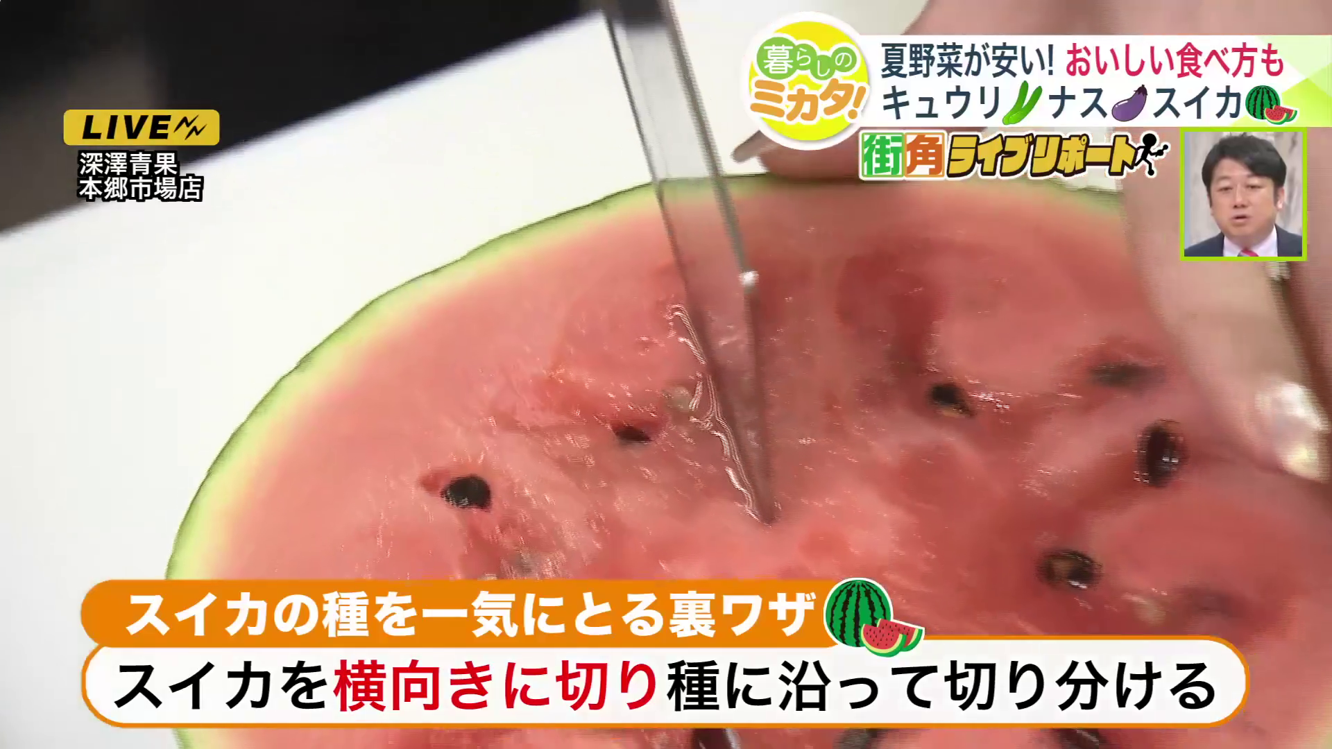 種の集まっている部分が見やすくなる