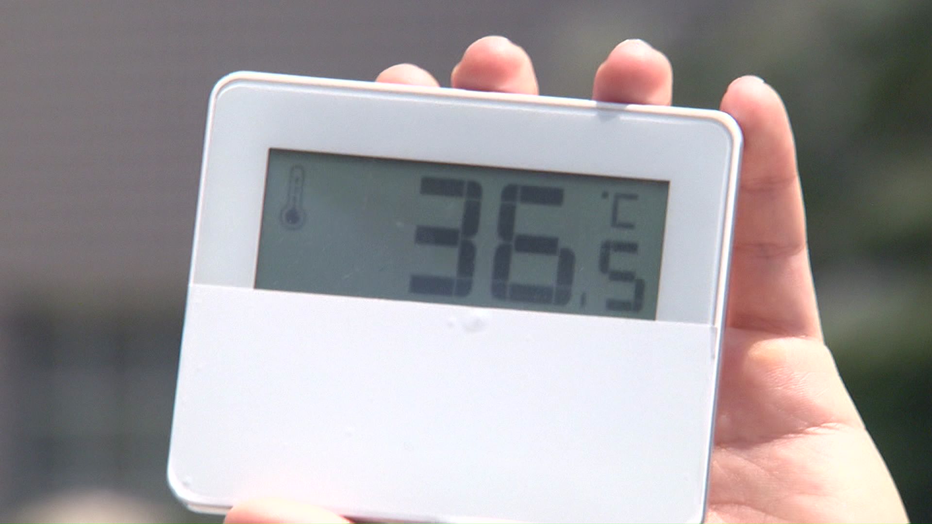 6月末に早くも36℃を示す温度計