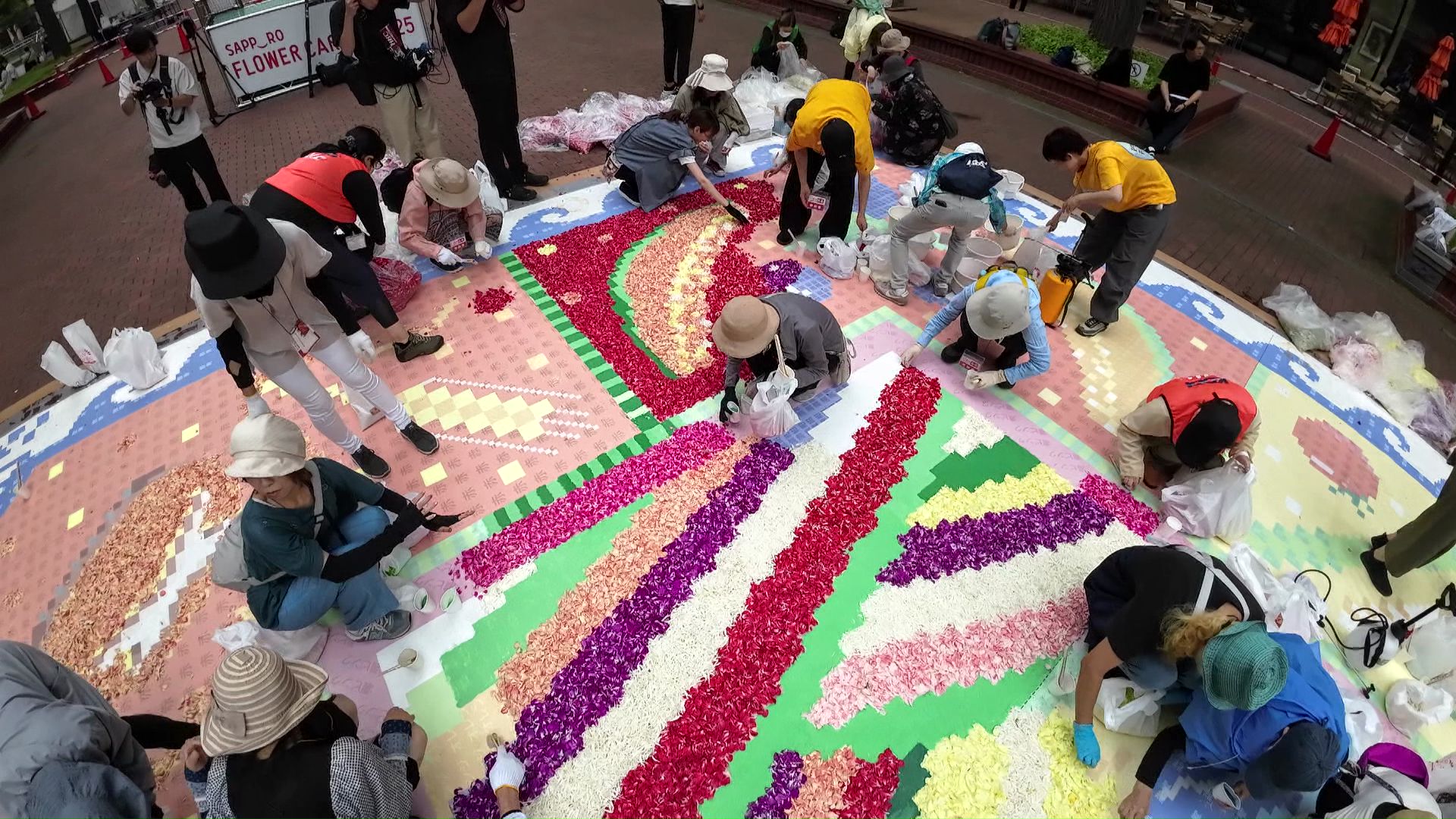 色とりどりのカーネーションや菊の花びらを並べる作業