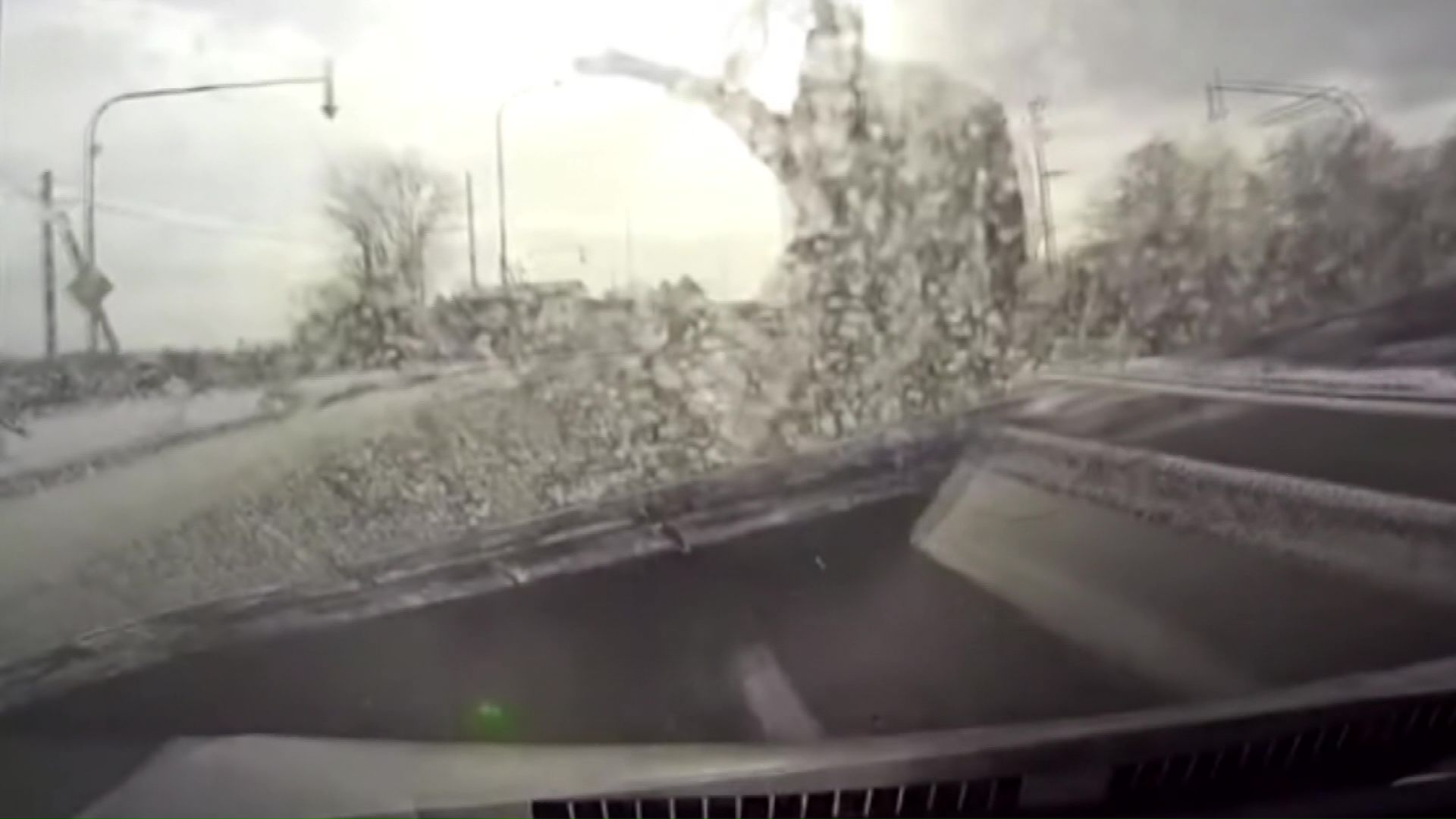 シカと車両の接触事故(提供:北海道警察)