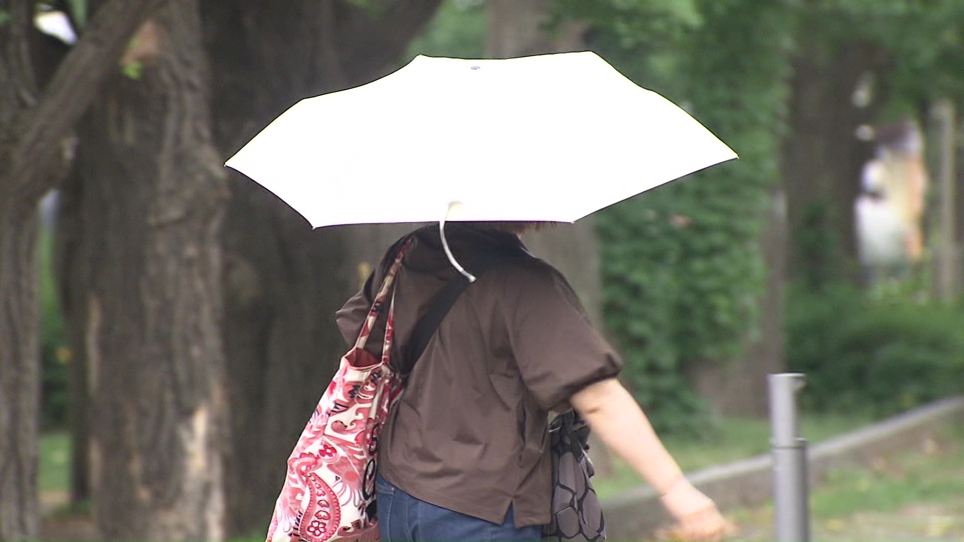 「北海道らしくない」ジメジメ暑さに大雨も_12日連続で真夏日を記録…7月最初の週末は35℃に…まだまだ続く異常な暑さ 熱中症に注意