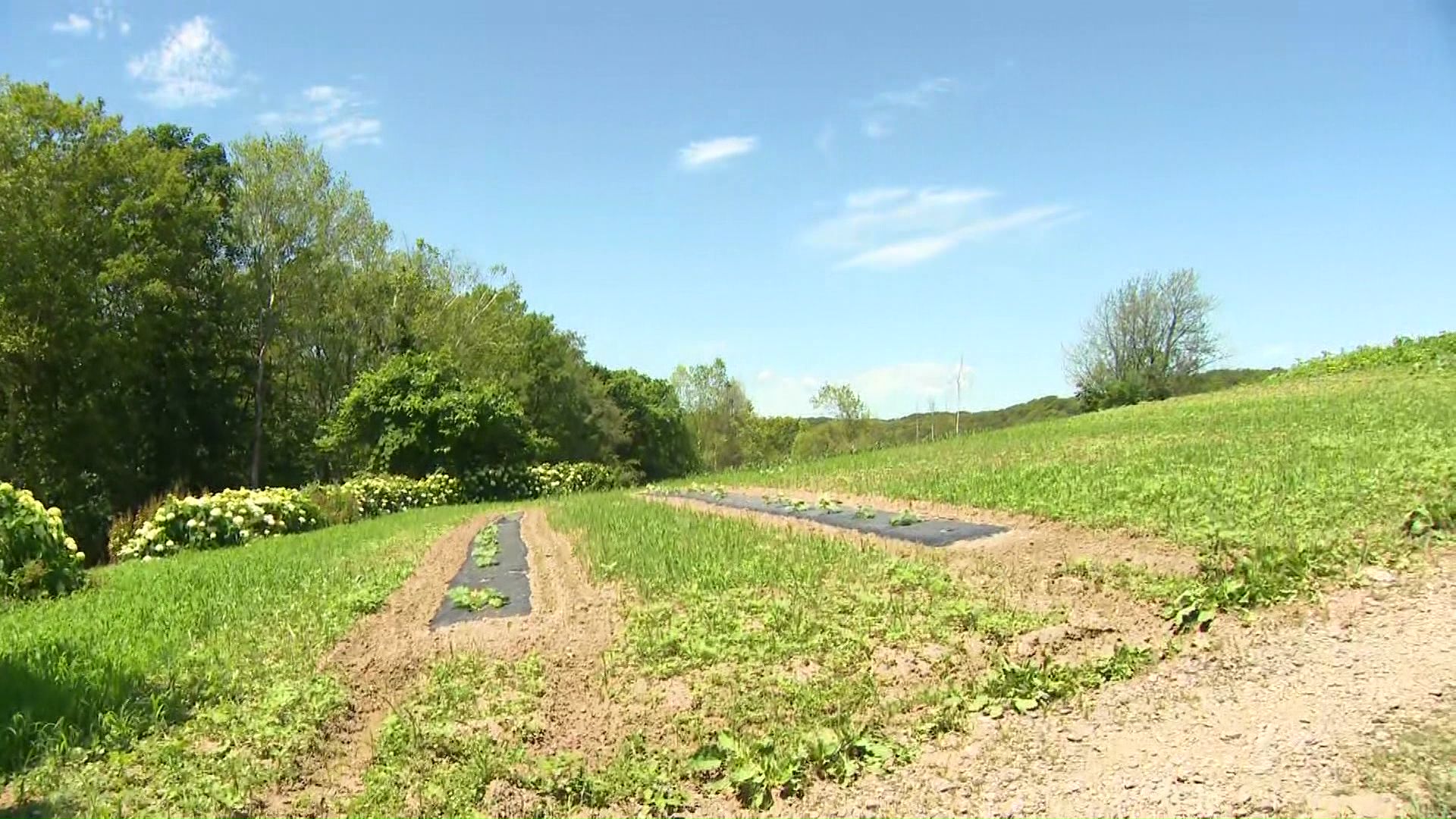 クマ被害のあった砂川市一の沢の農園