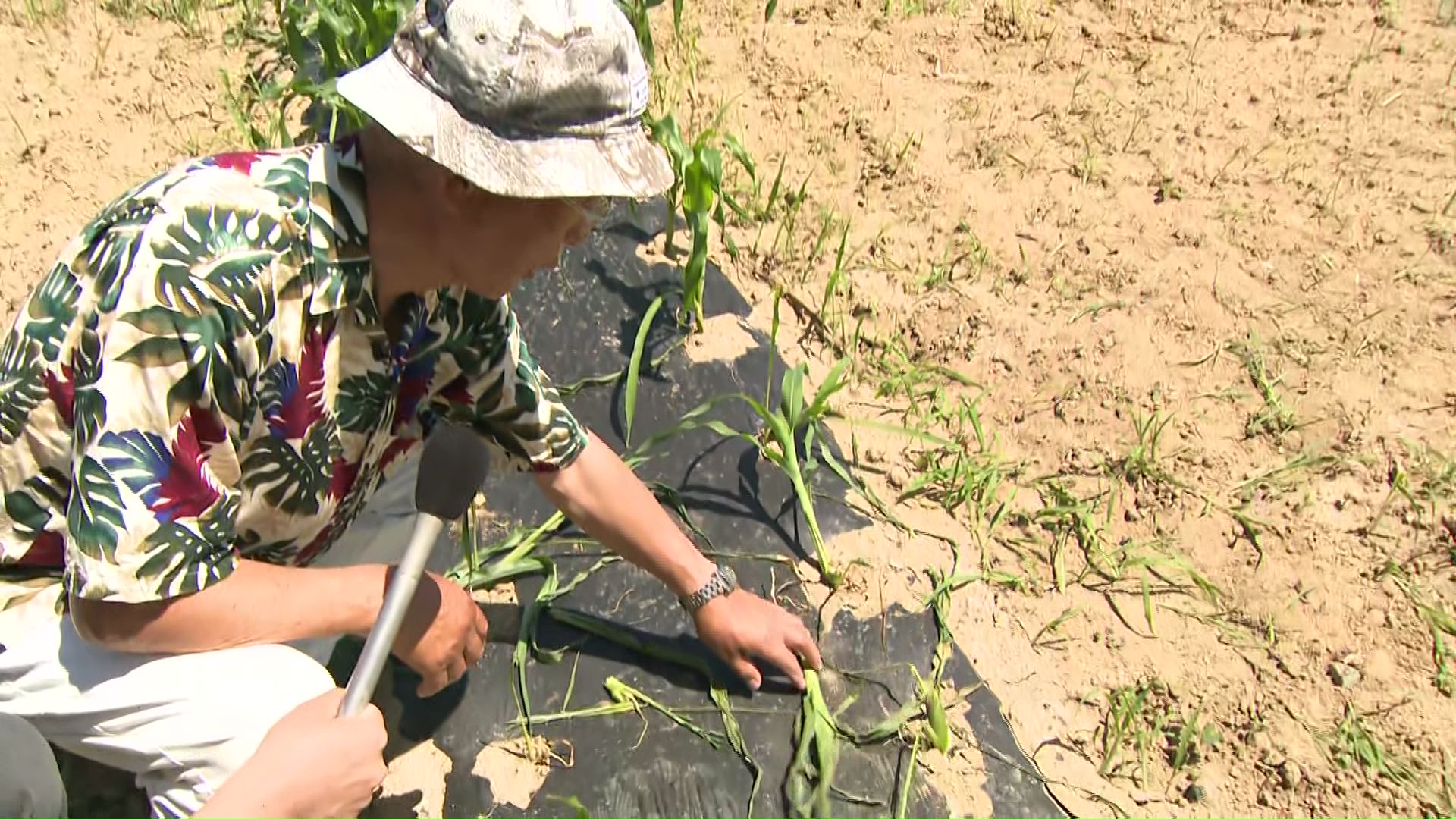 北海道猟友会 砂川支部 池上治男支部長