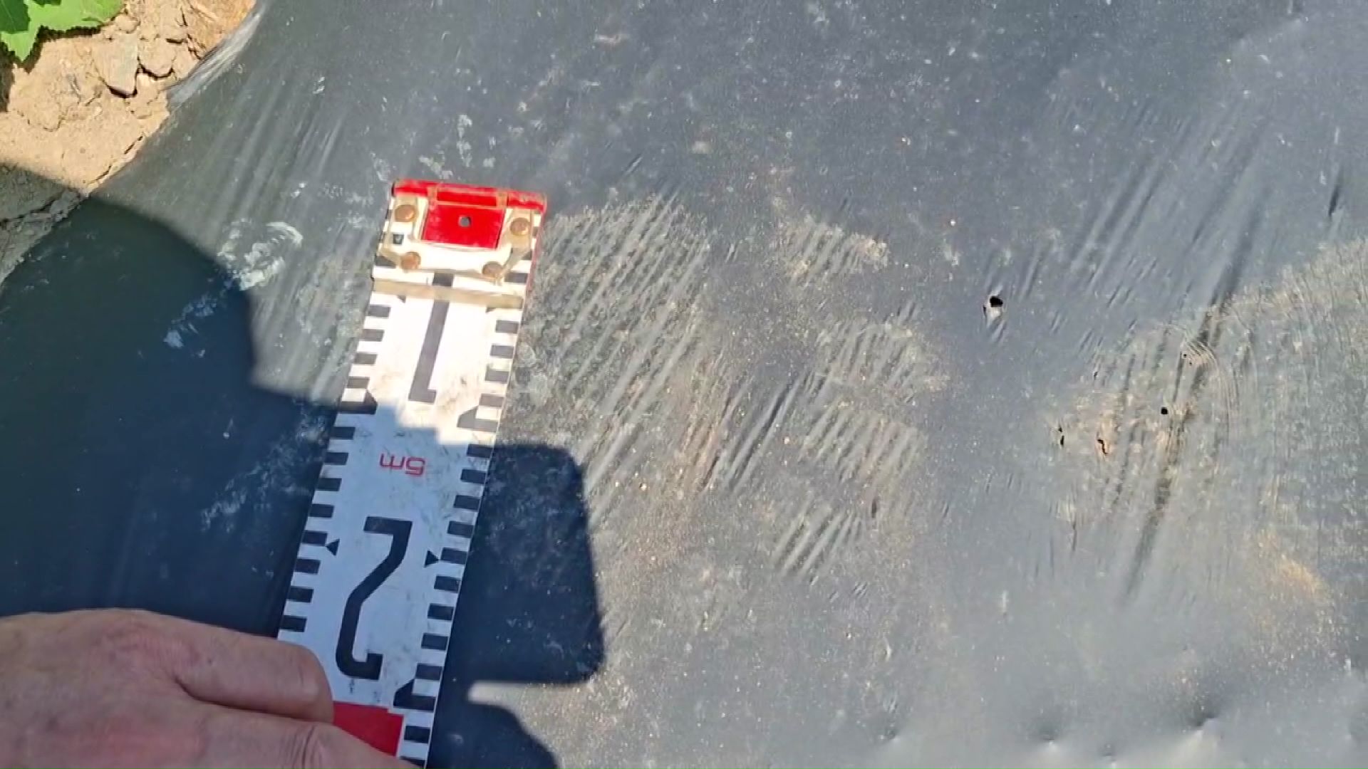 見つかった足跡は幅15センチほど(提供:池上治男さん)