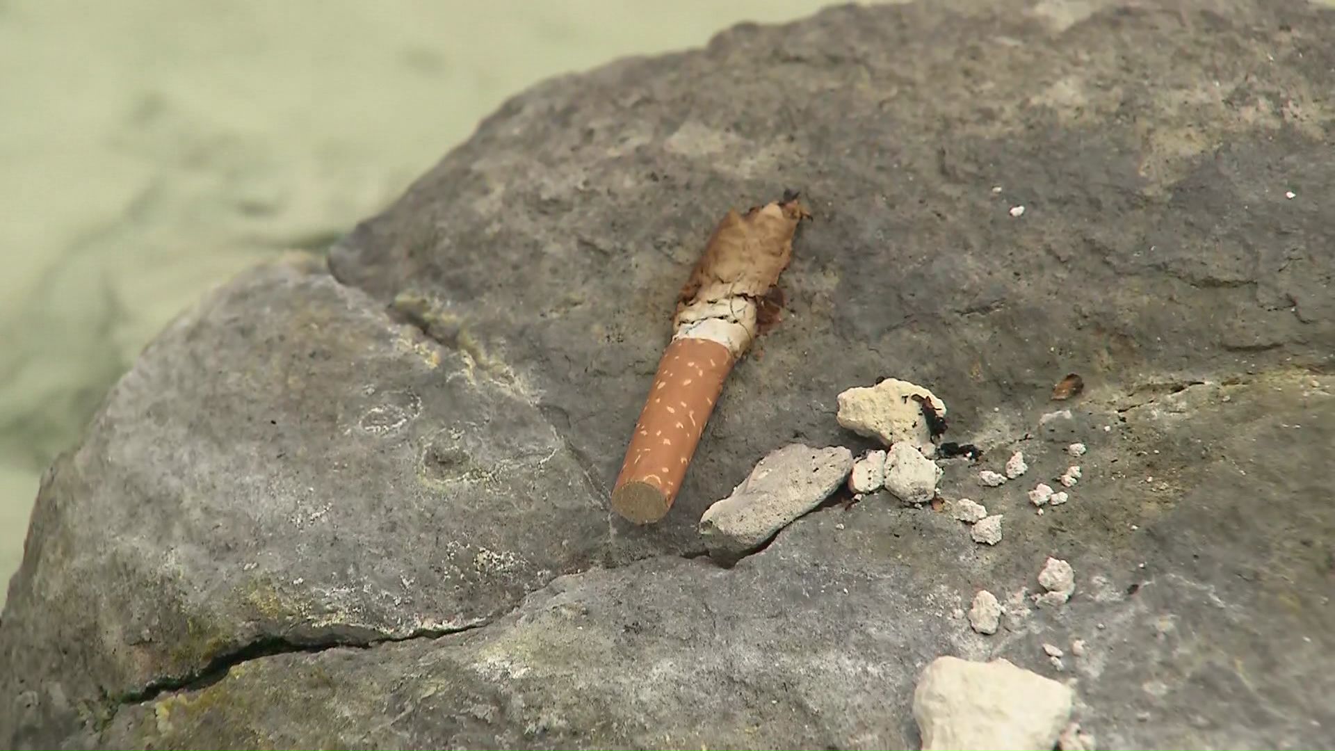 周辺にはたばこの吸い殻まで