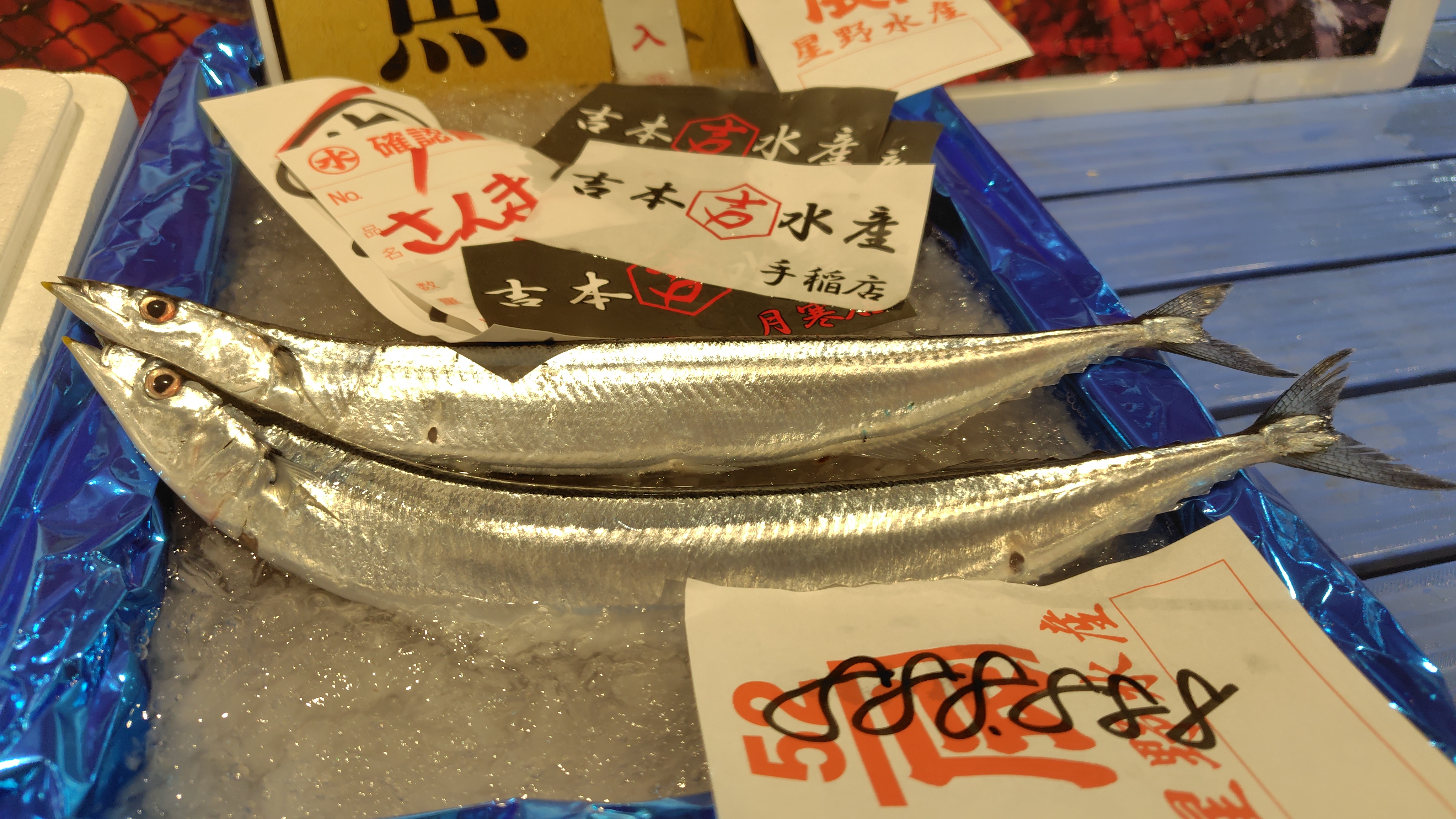 1キロあたり88万8888円と史上最高値となったサンマ(7月11日)