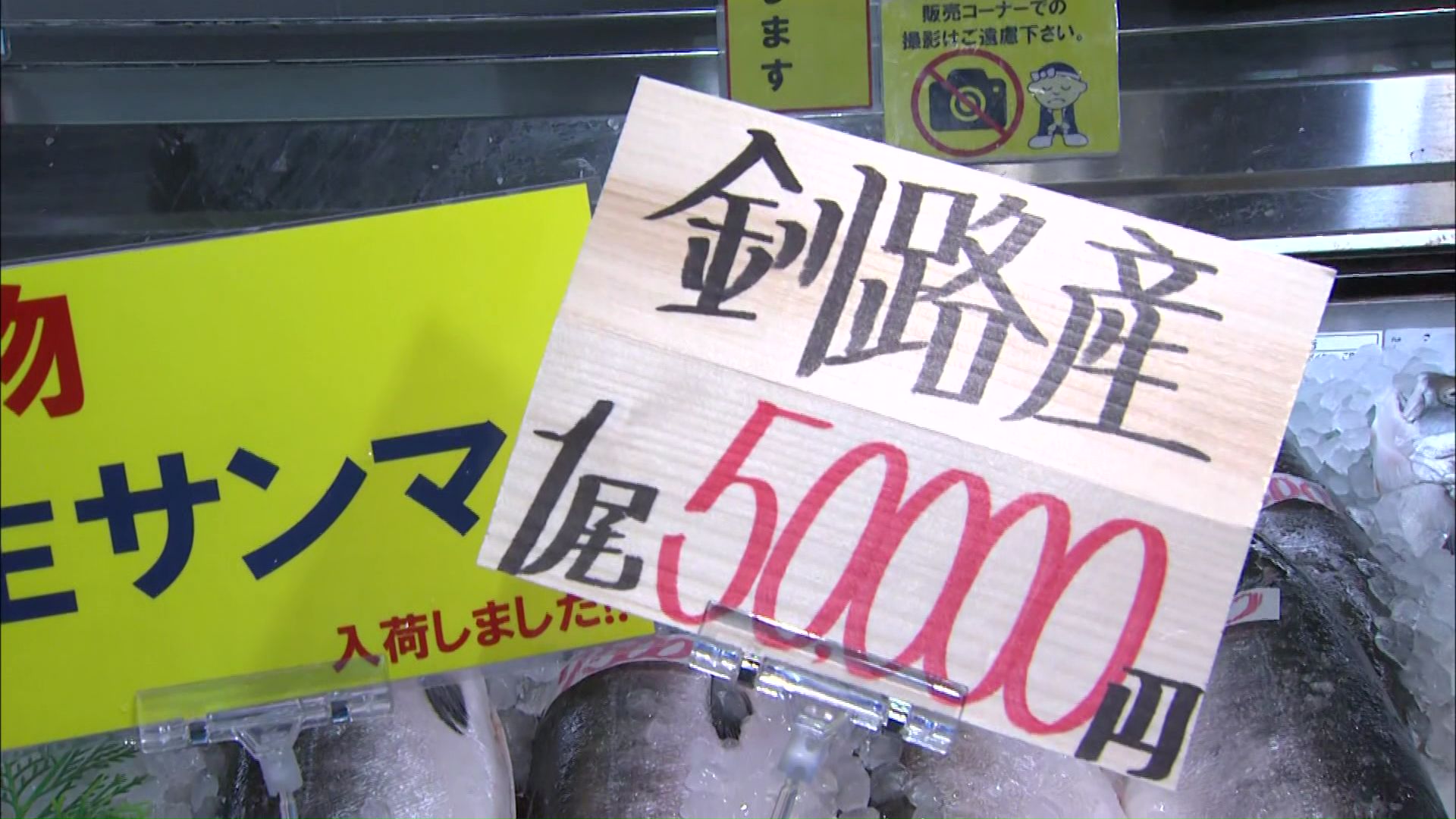 10日に釧路港で初水揚げされ地元で販売された1匹5万円のサンマ…20分ほどで完売