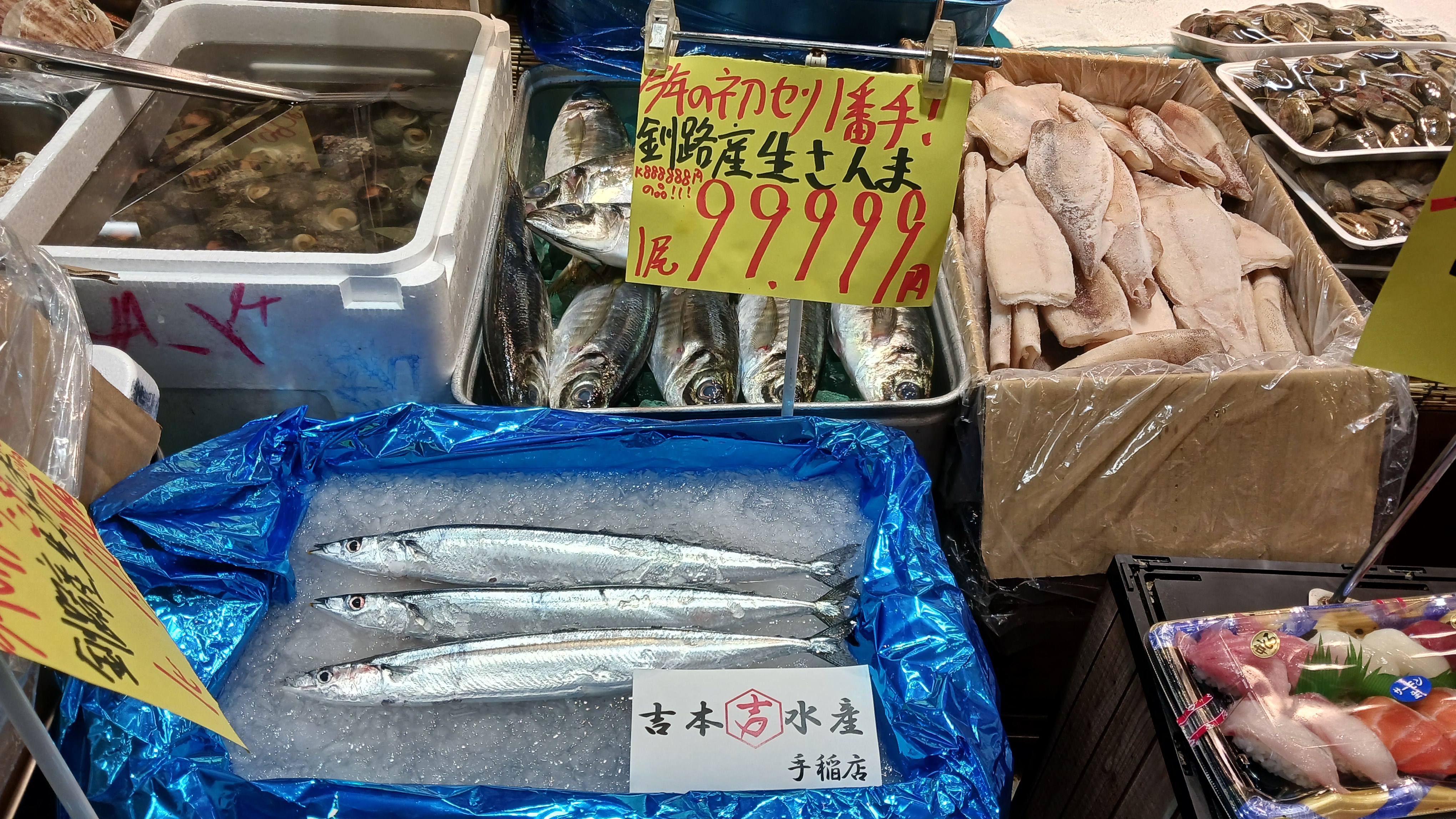 サンマ1匹9万9999円！札幌市内の鮮魚コーナーで販売〈競りでは1キロ“88