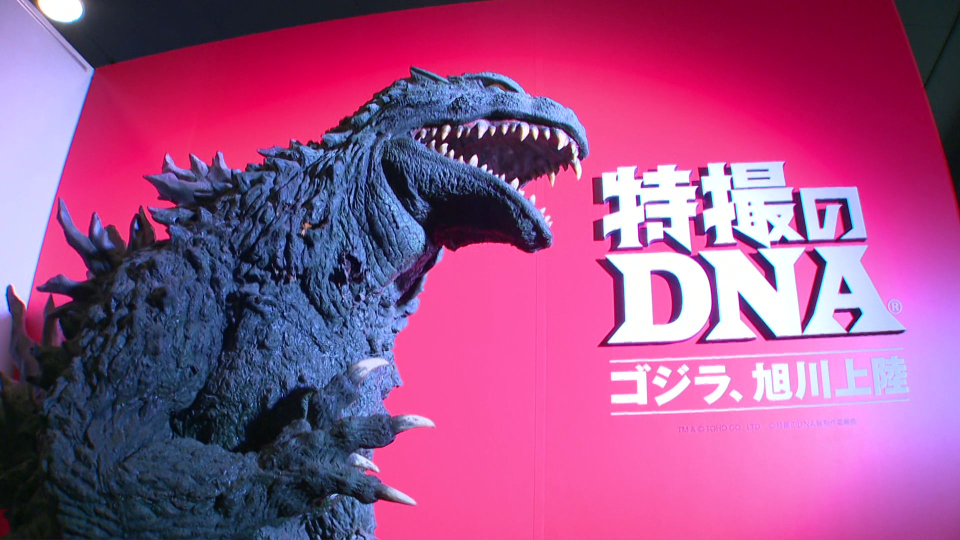 マルサン　’５５ゴジラ　福袋　特撮のDNA ゴジラ　旭川上陸 マルサン '55ゴジラ 福袋 特撮のDNA ゴジラ 旭川上陸 - メルカリ