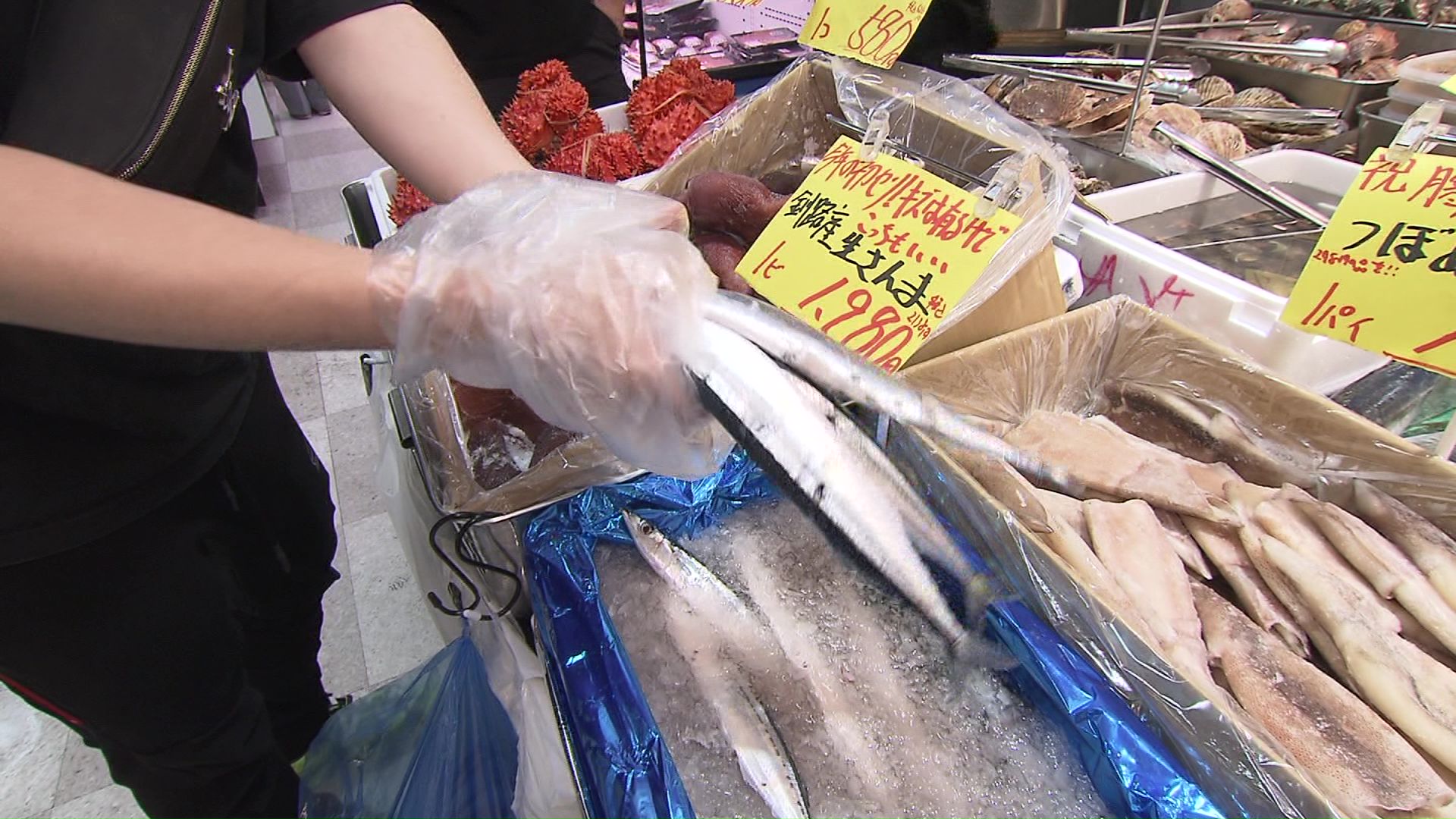 高級サンマ、買う?買わない?