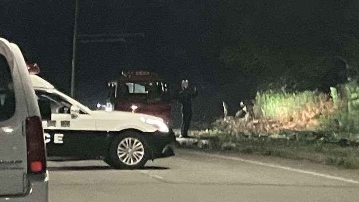 クマが最後に目撃された場所