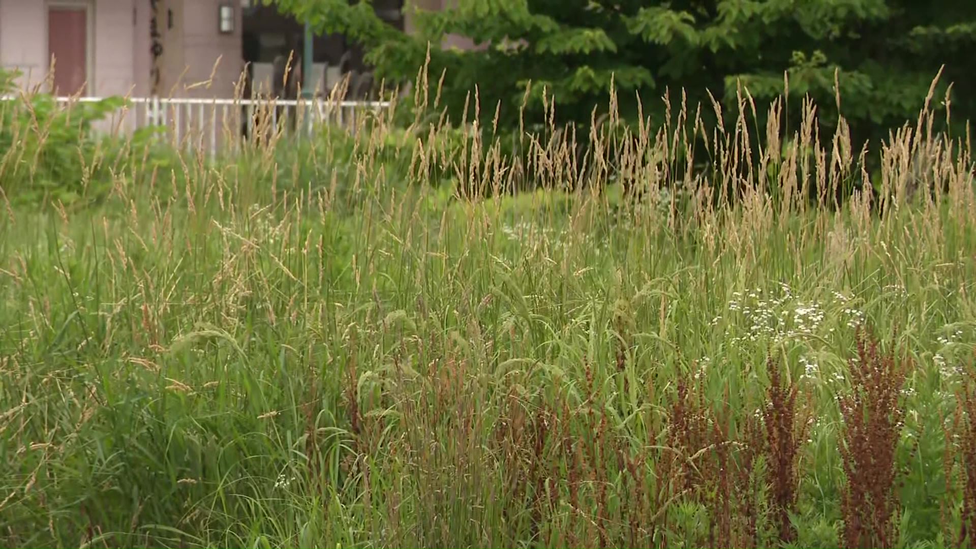 母親は「かわいそうでならない」と話した