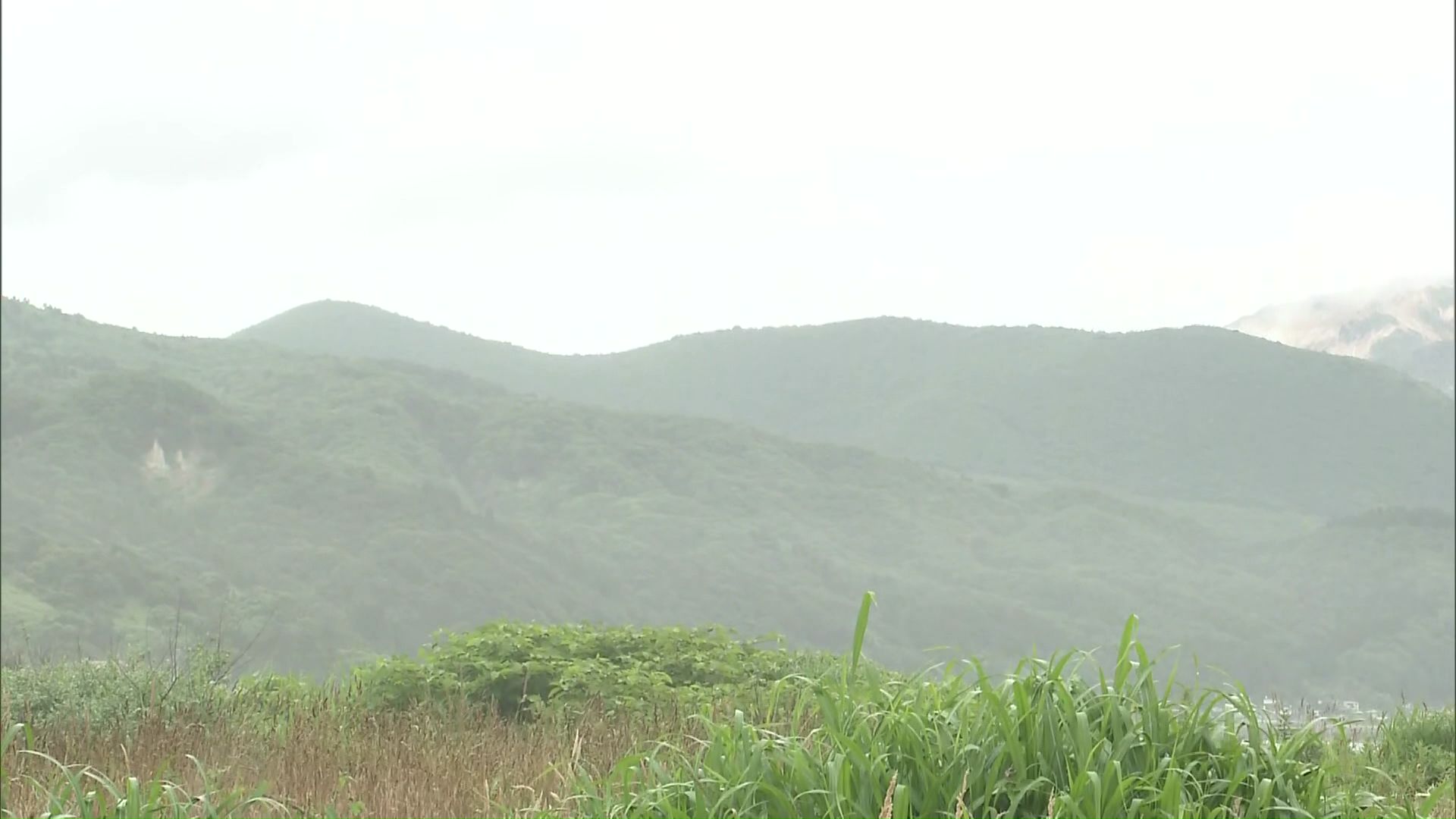 ハンターの男性が行方不明になっている函館市恵山地区