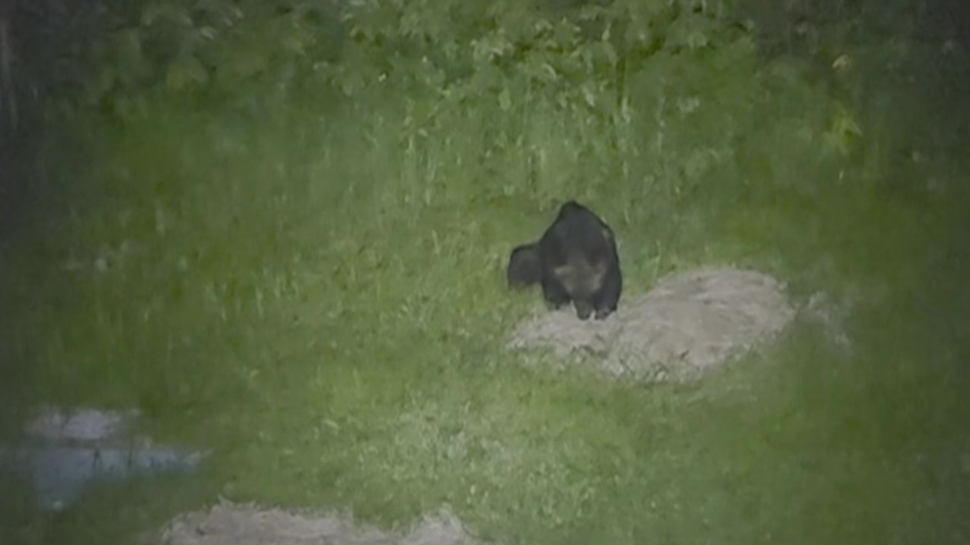 7月10日午後10時30分ごろ (撮影:視聴者)