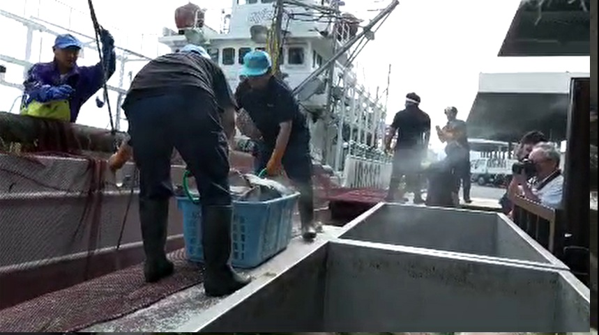 活気づく港