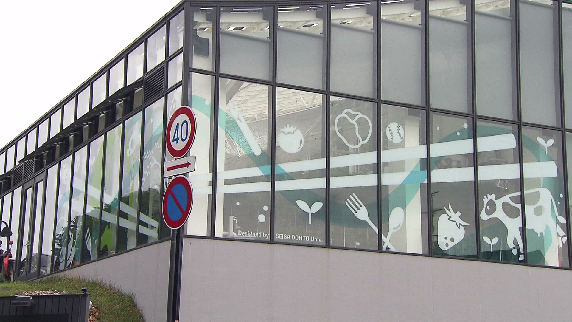 壁面に取り付けられたデザインラッピング