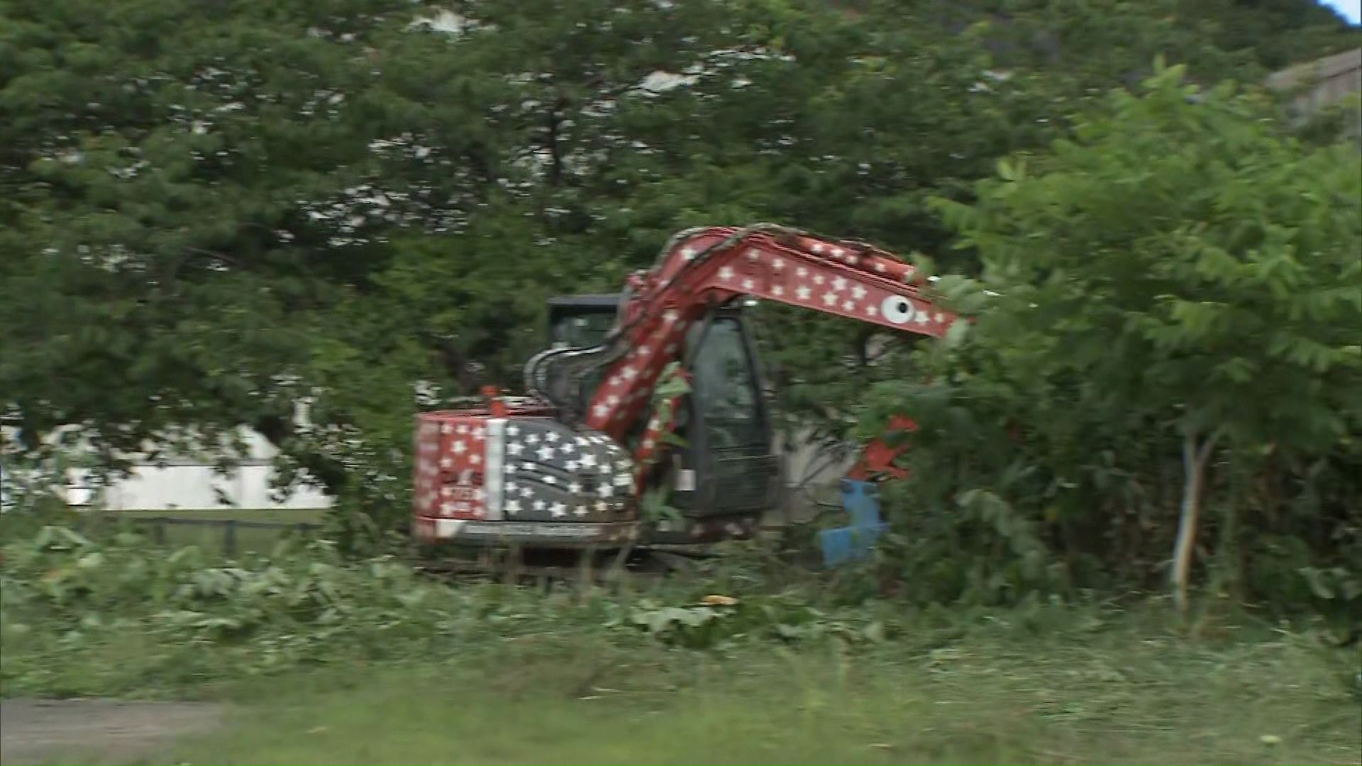 17日から茂みの草刈り作業が進む