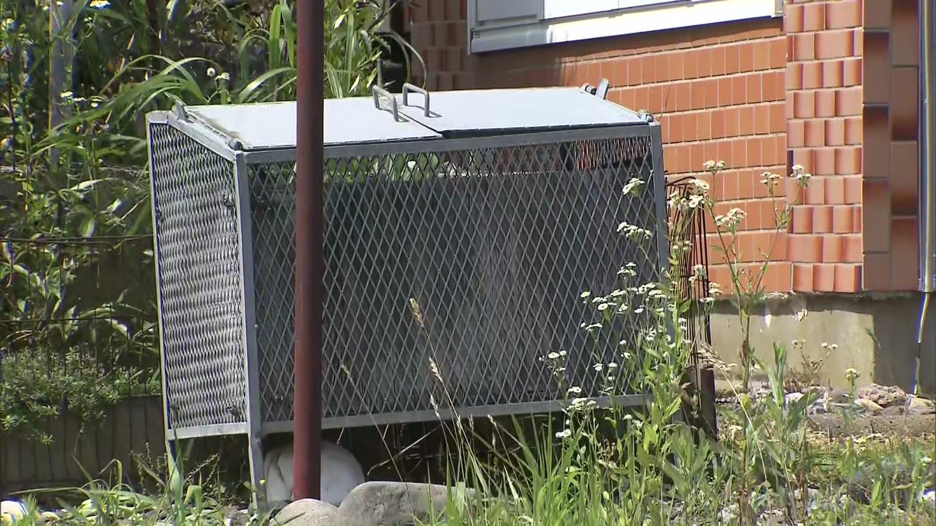 防災無線で前日からごみ出しをしないよう呼びかけ