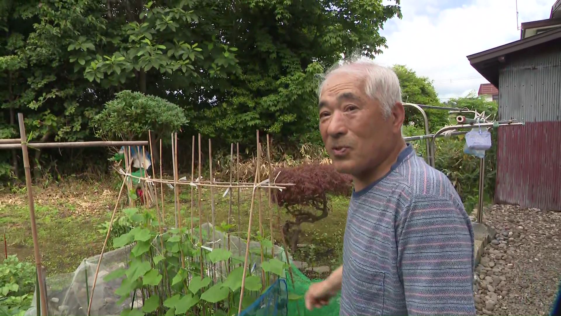 「1頭駆除されたから安心はするけど…」(駆除現場近く住民)