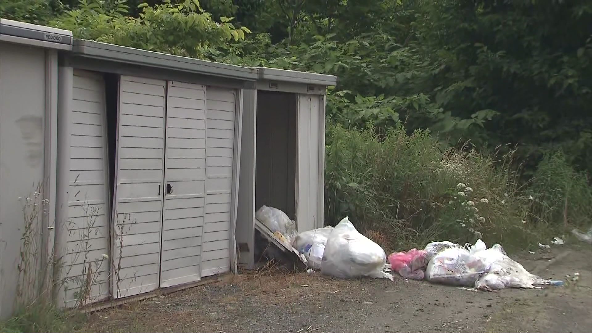 クマが荒らした跡