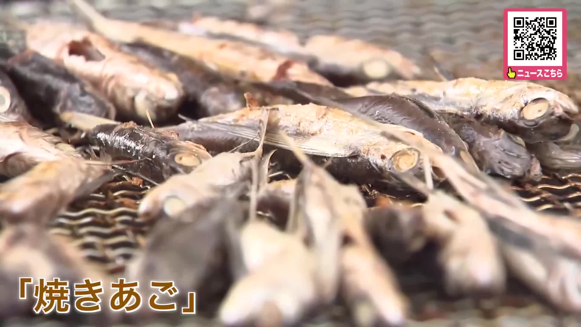 『おいしい大試食会』100種類以上の商品ならぶ〈福岡県創業の総合食品メーカーが工場構える恵庭市で感謝祭〉限定商品も販売で「こういうときじゃないと買えないので」北海道