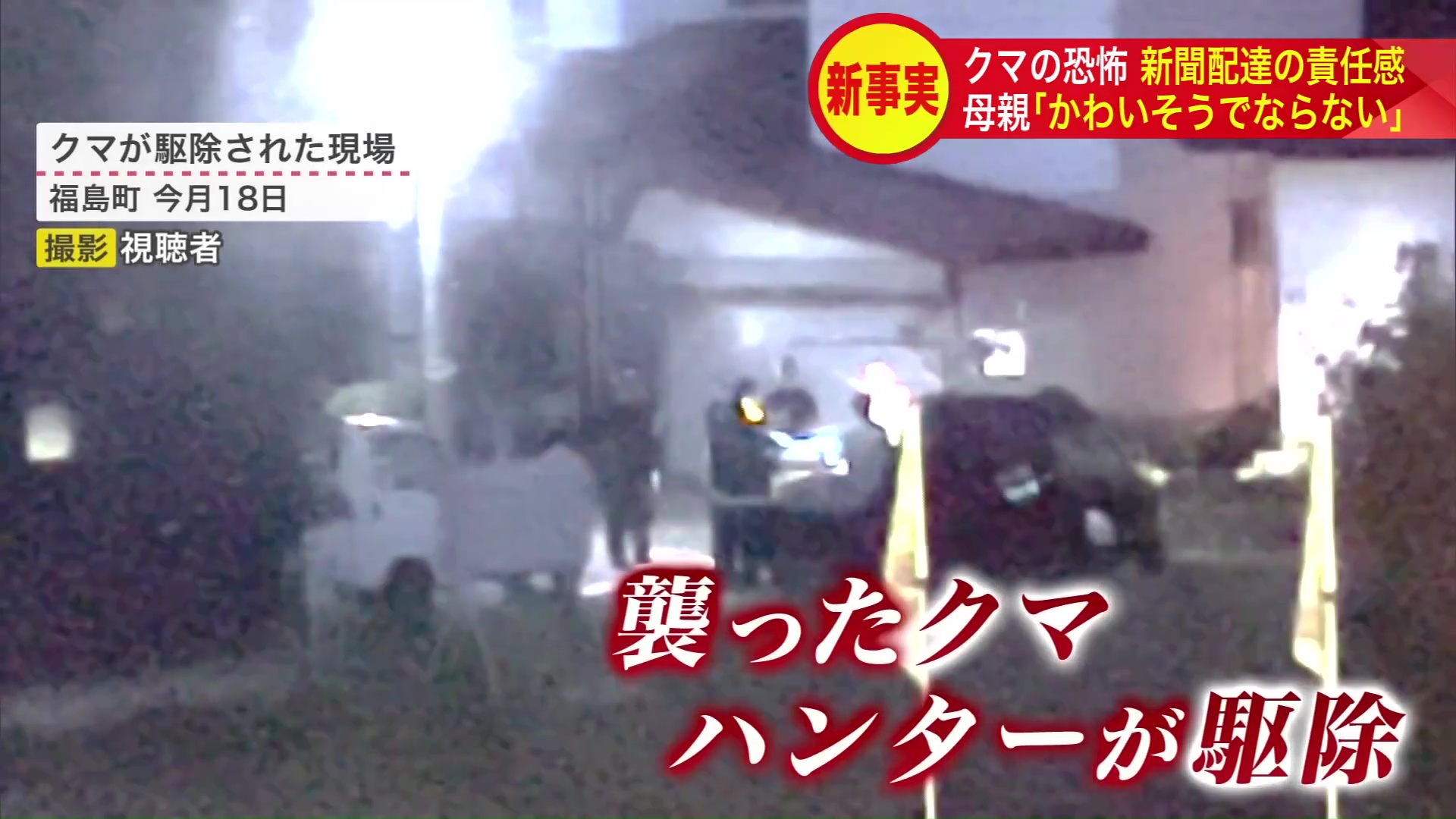 クマが駆除された現場 撮影:視聴者