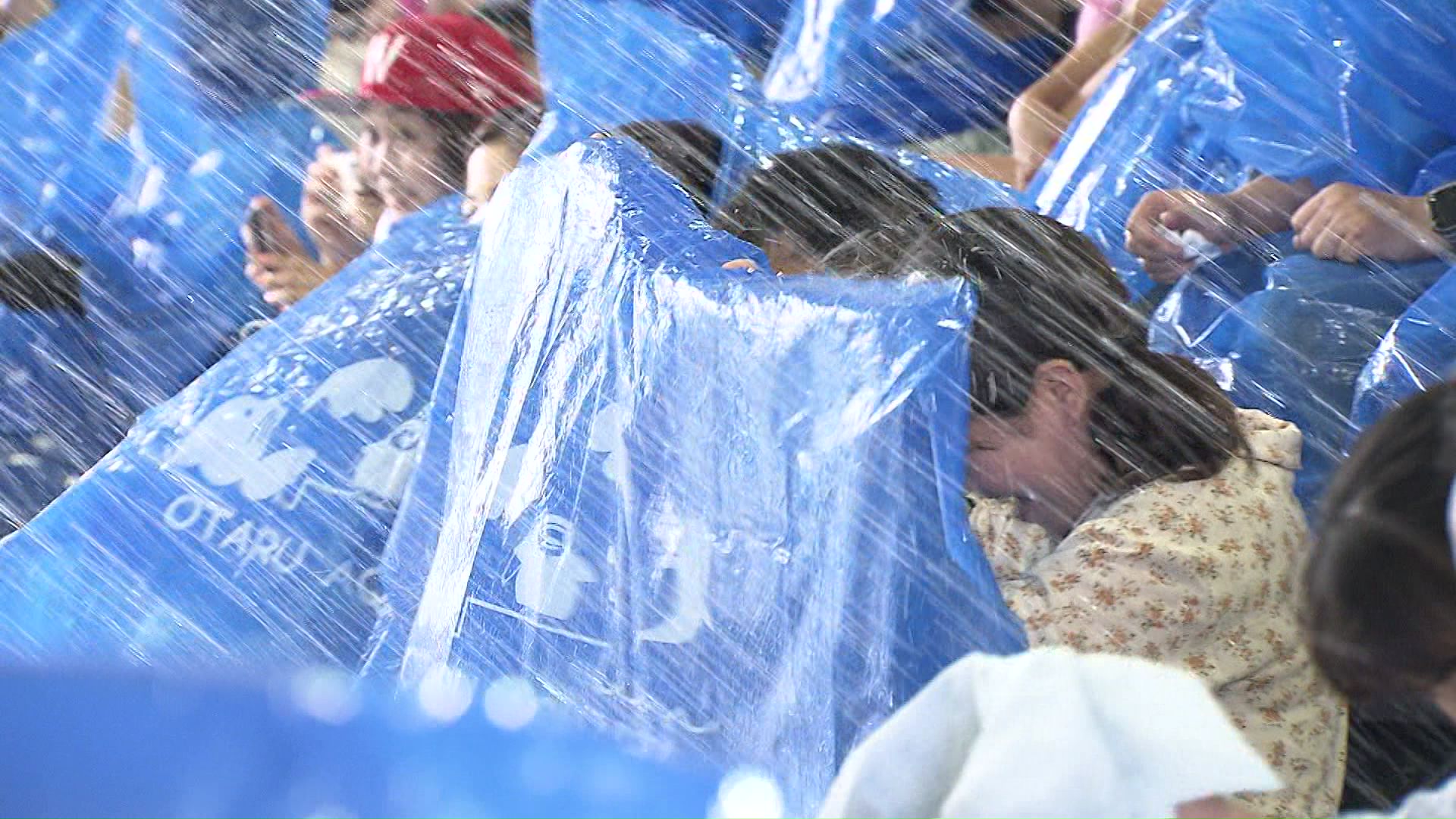 イルカの水しぶきが「バシャ！」