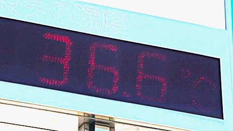 【北海道で40℃？】最高気温37℃予想