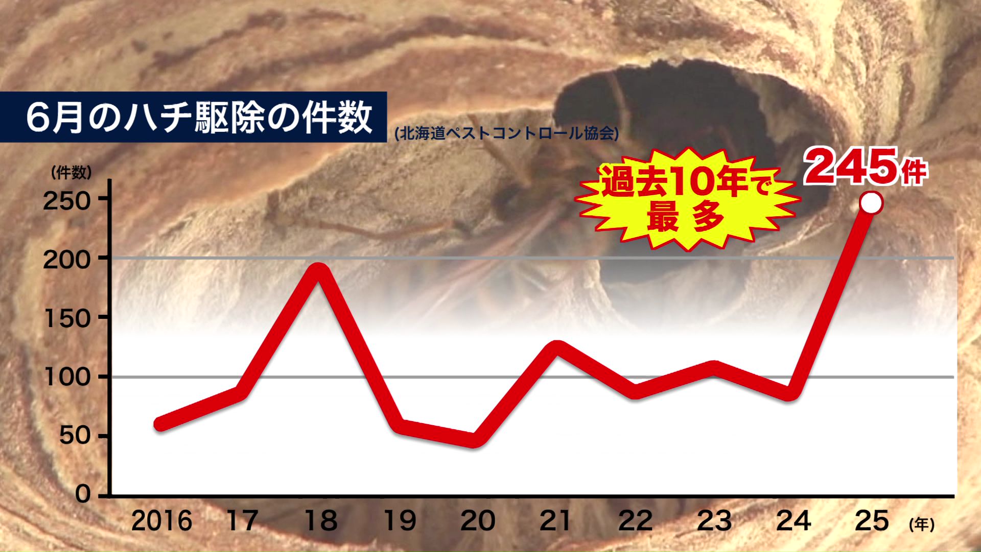 2025年6月の駆除件数は245件と過去10年で最多に