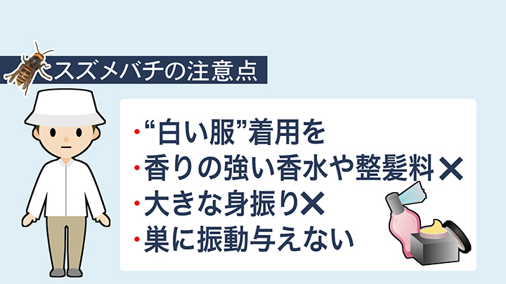スズメバチ被害にあわないための注意点